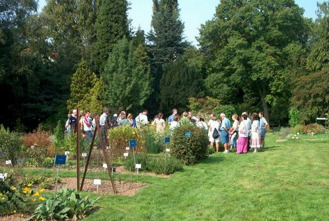 1 jardin jean massart