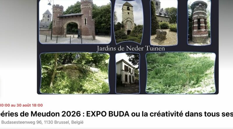 1 expo buda imea 1536x687