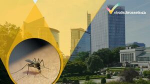 En Région bruxelloise également, il faut se protéger du virus du Nil
