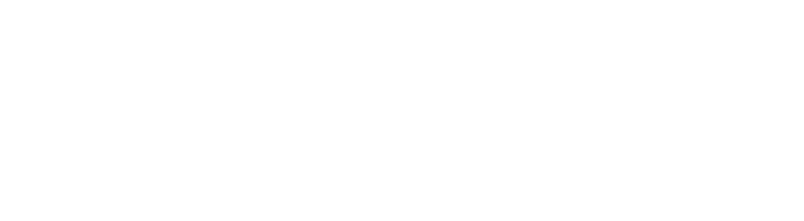 2 festival des libertes